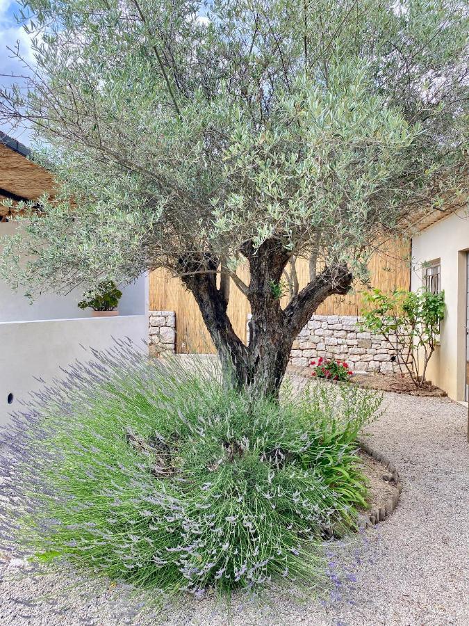 Le Cabanon Valbonne Lägenhet Exteriör bild